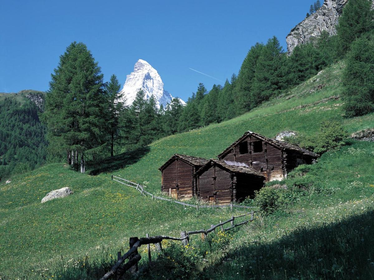 Apartment Alba By Interhome Zermatt Eksteriør bilde